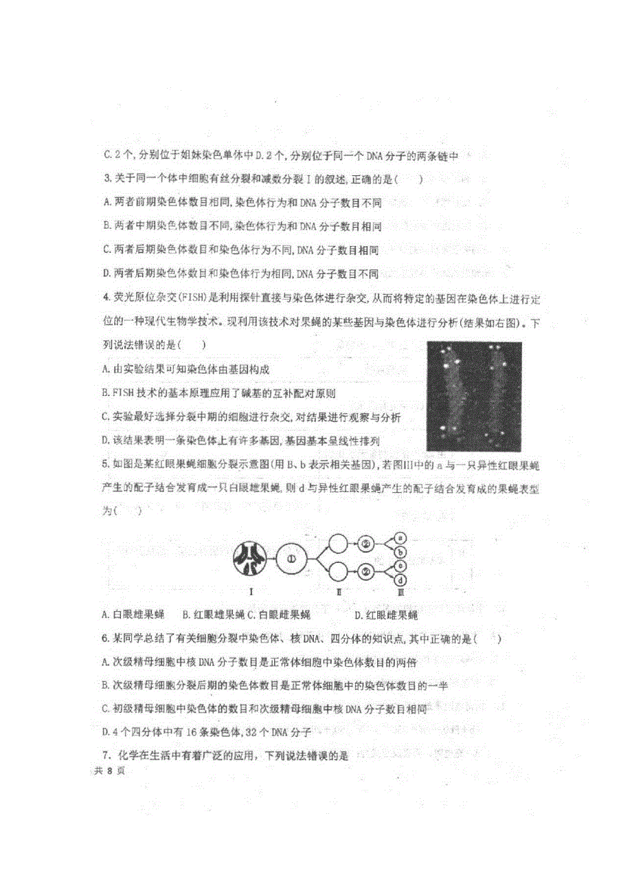 四川省仁寿县文宫中学2019-2020学年高二7月月考（期末模拟）理科综合试题 扫描版含答案.doc_第2页