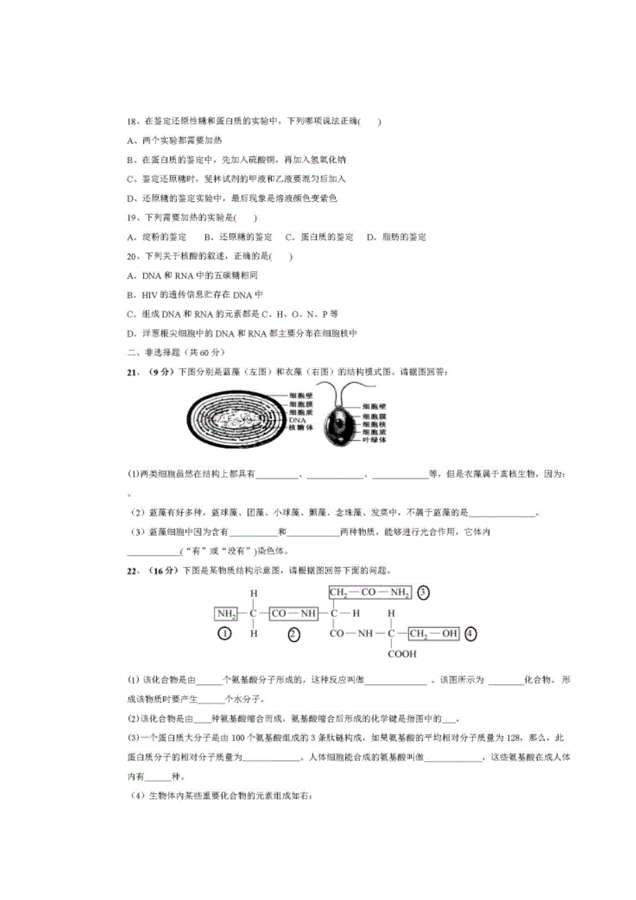 四川省仁寿县第二中学2019-2020学年高二10月份月考生物试题 扫描版含答案.doc_第3页