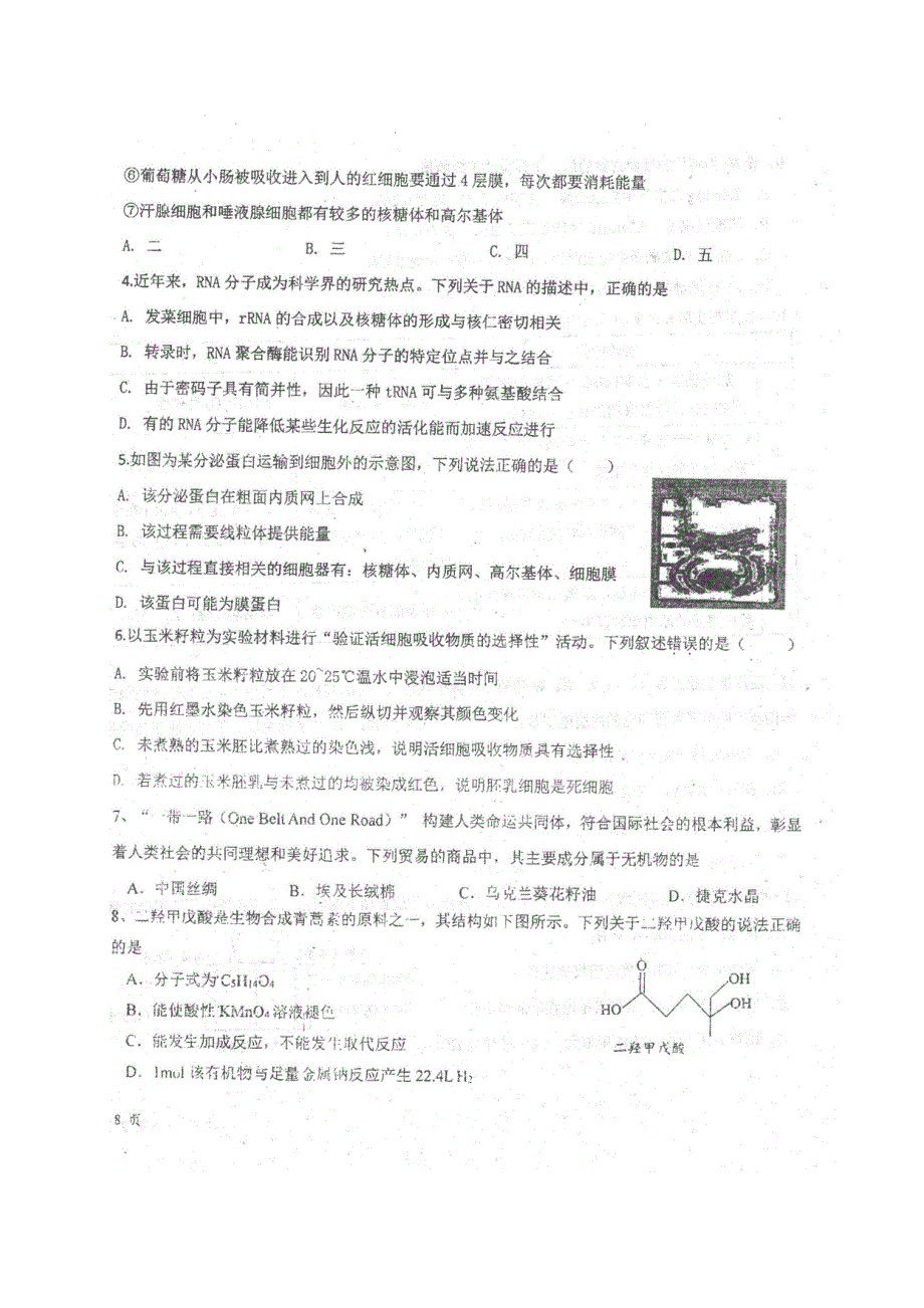 四川省仁寿县文宫中学2021届高三理综10月月考试题（扫描版）.doc_第2页