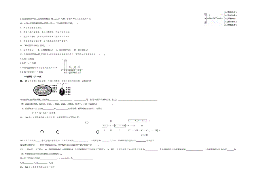四川省仁寿县第二中学2021-2022学年高一上学期第一次教学质量检测生物试题 WORD版含答案.doc_第3页