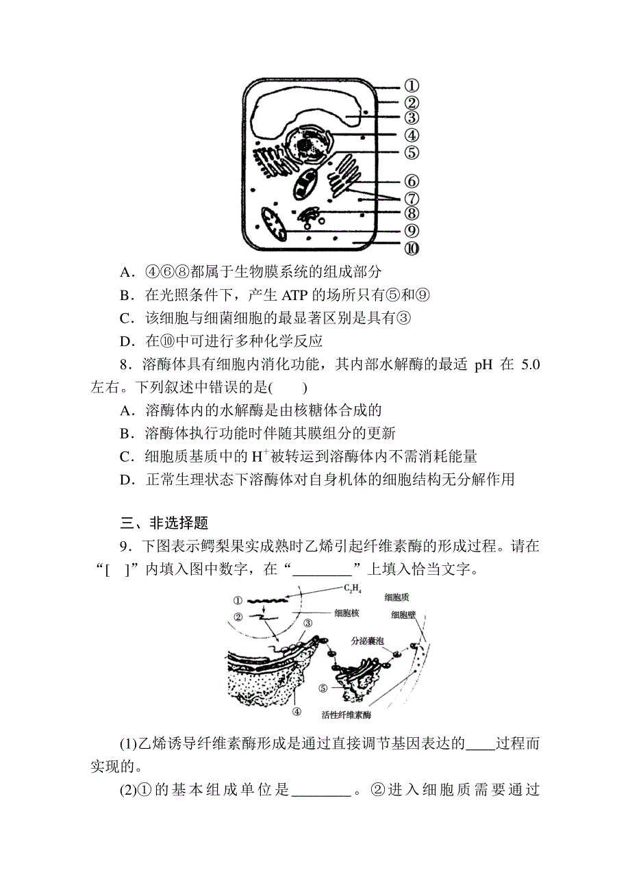 《金榜新学案复习参考》高三生物课时精练：第6讲　细胞器——系统内的分工合作.doc_第3页