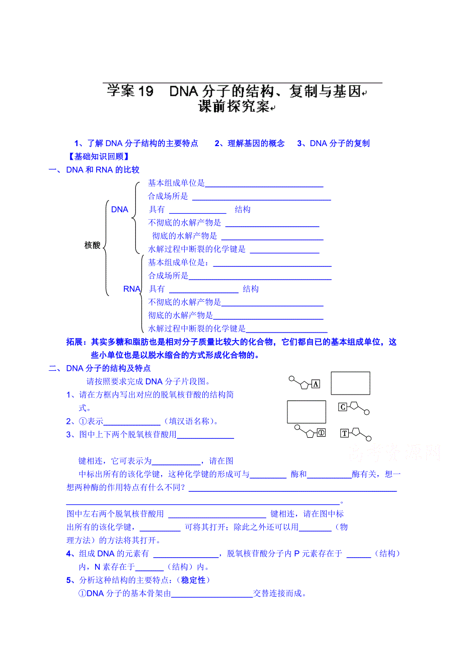 福建省长泰县第二中学2014高考生物课时学案：必修二 19DNA分子的结构、复制.doc_第1页