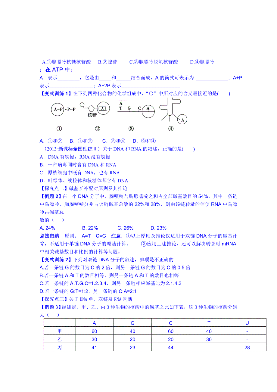 福建省长泰县第二中学2014高考生物课时学案：必修二 19DNA分子的结构、复制.doc_第3页