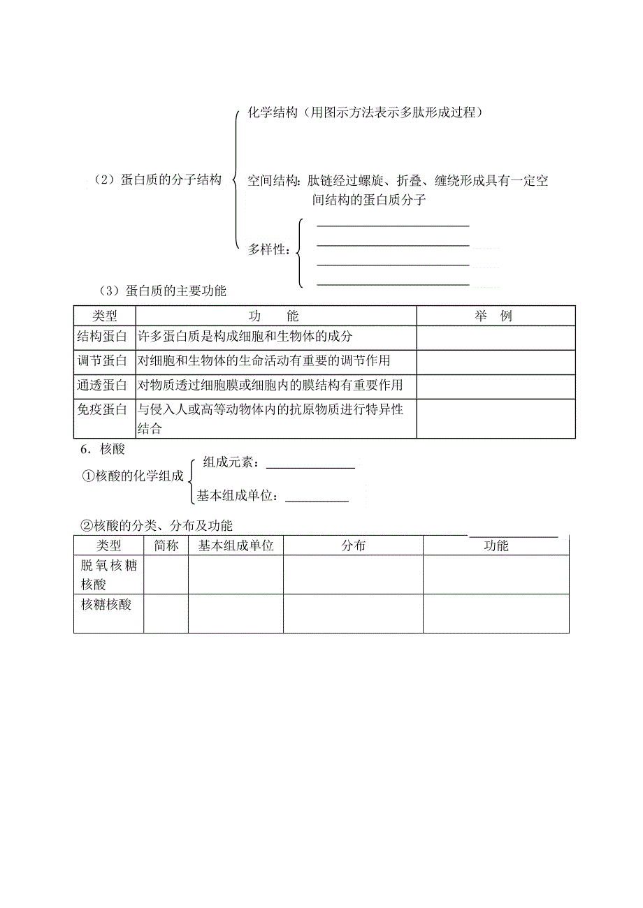 2009高考生物专题复习教案：生命的物质基础.doc_第3页