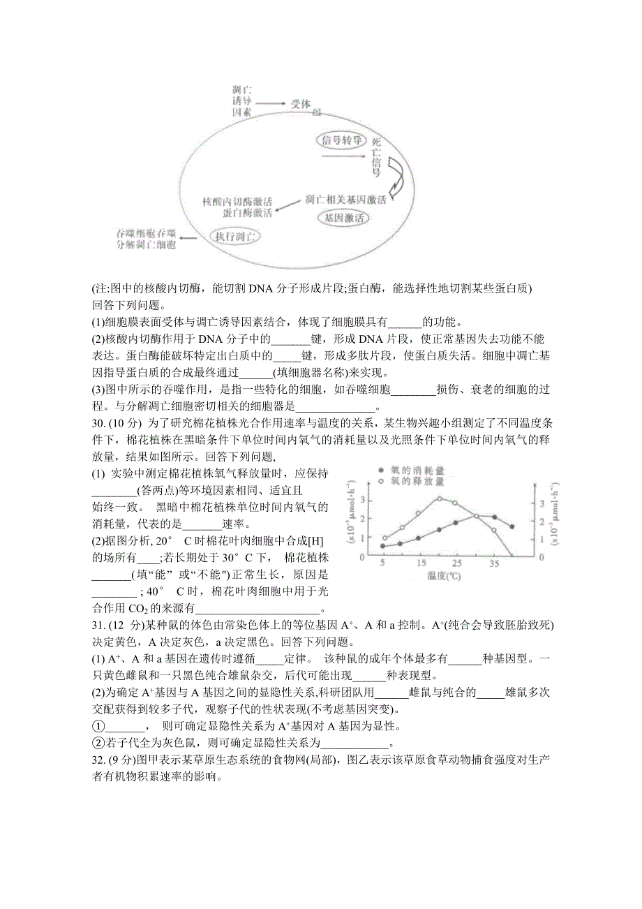 云南省昆明一中2021届高三高中新课标第一次摸底测试理科综合生物试题 WORD版含答案.doc_第2页