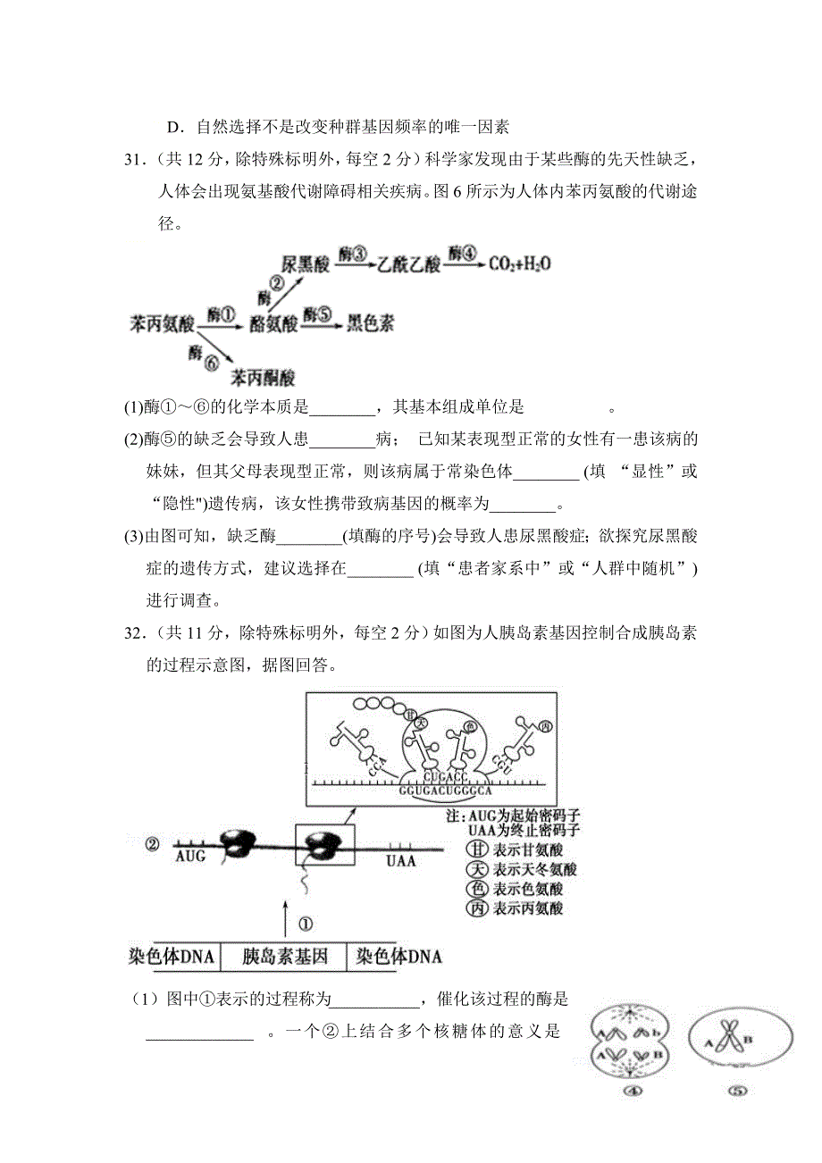 四川省仁寿第一中学校南校区2020-2021学年高二10月月考理综-生物试题 WORD版含答案.doc_第2页