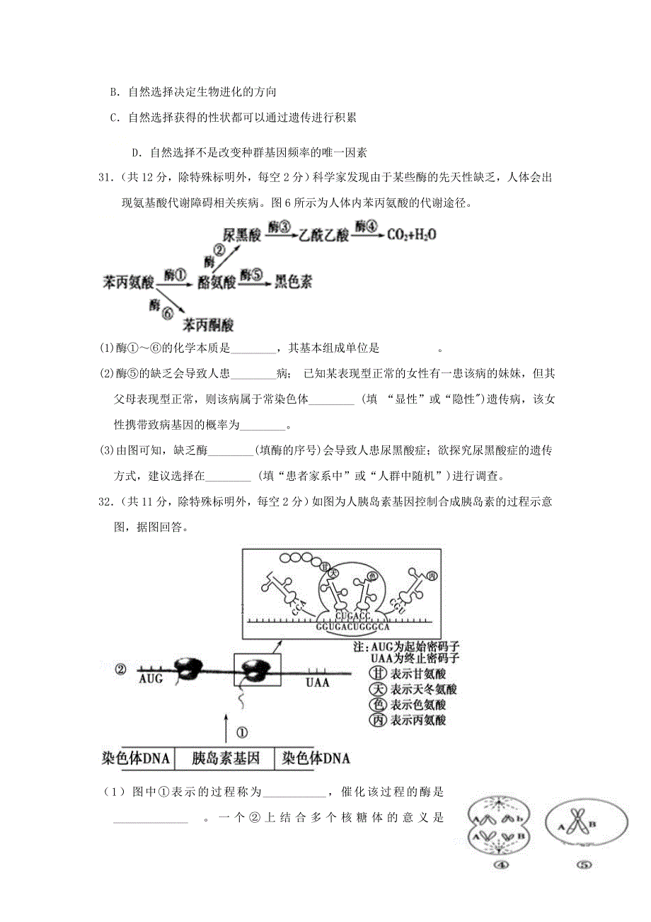 四川省仁寿第一中学校南校区2020-2021学年高二生物10月月考试题.doc_第2页