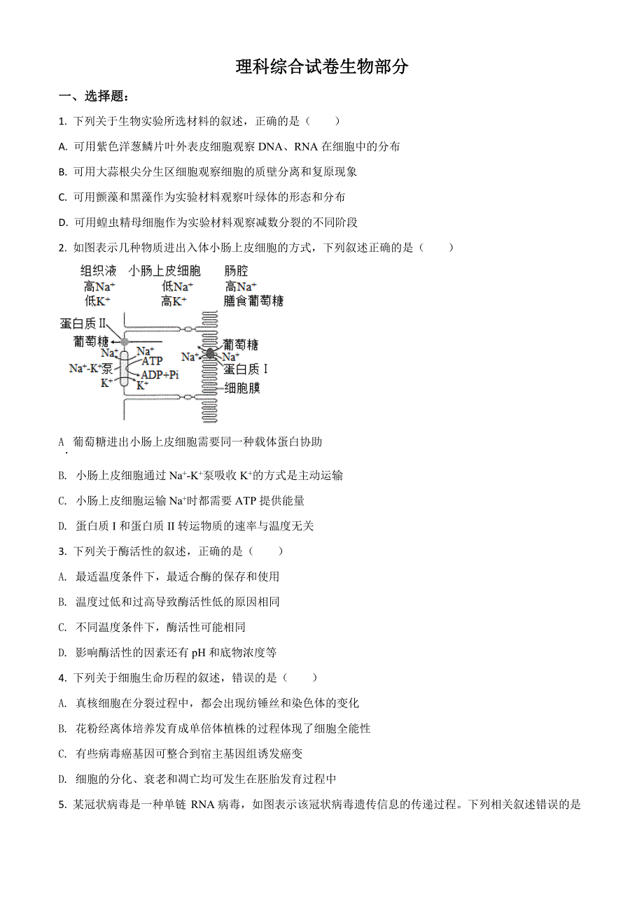 云南省昆明市云南师范大学附属中学2022届高三上学期高考适应性月考（四）生物试题 WORD版含答案.doc_第1页