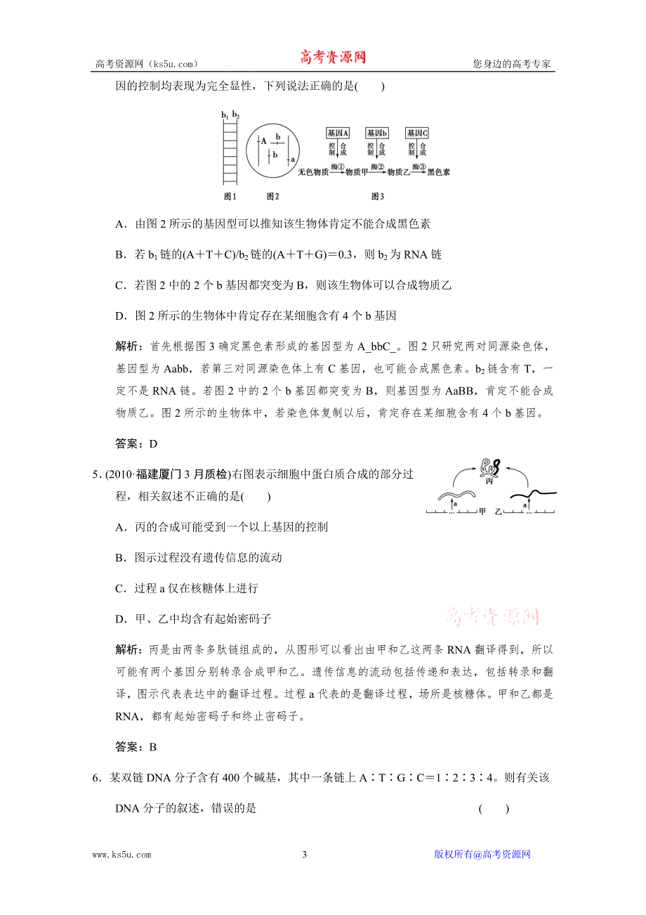 2011二轮生物考点突破复习第一部分 专题四 遗传、变异和进化第一讲　遗传的分子基础.doc_第3页