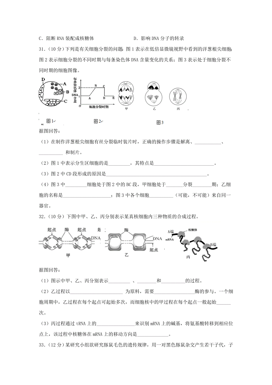 四川省仁寿第二中学2019-2020学年高一生物下学期期末模拟试题.doc_第2页