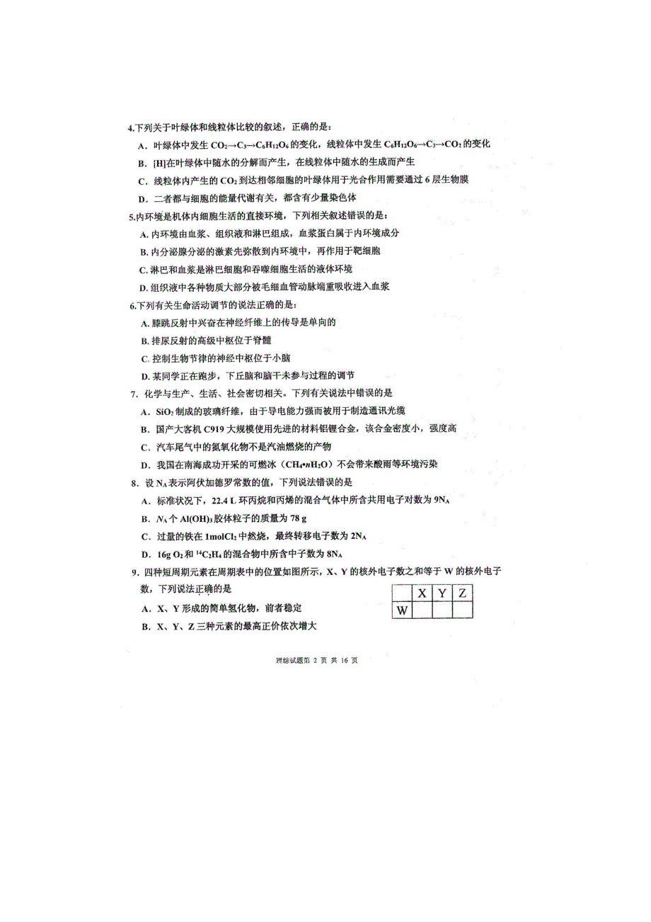 四川省仁寿第一中学校南校区2021届高三理综第四次调研试题（扫描版）.doc_第2页