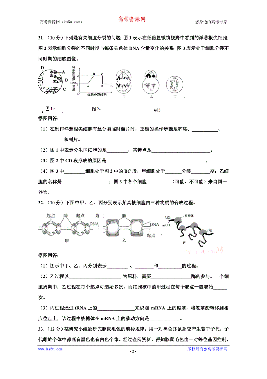 四川省仁寿第二中学2019-2020学年高一下学期期末模拟理综-生物试题 WORD版含答案.doc_第2页