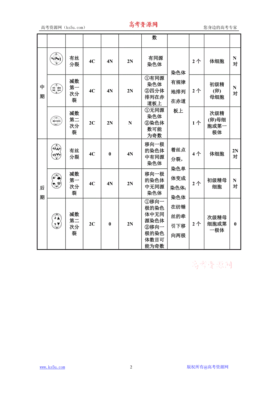 2011二轮生物考点突破复习第一部分专题三 第一讲　细胞增殖和受精作用考点2.doc_第2页