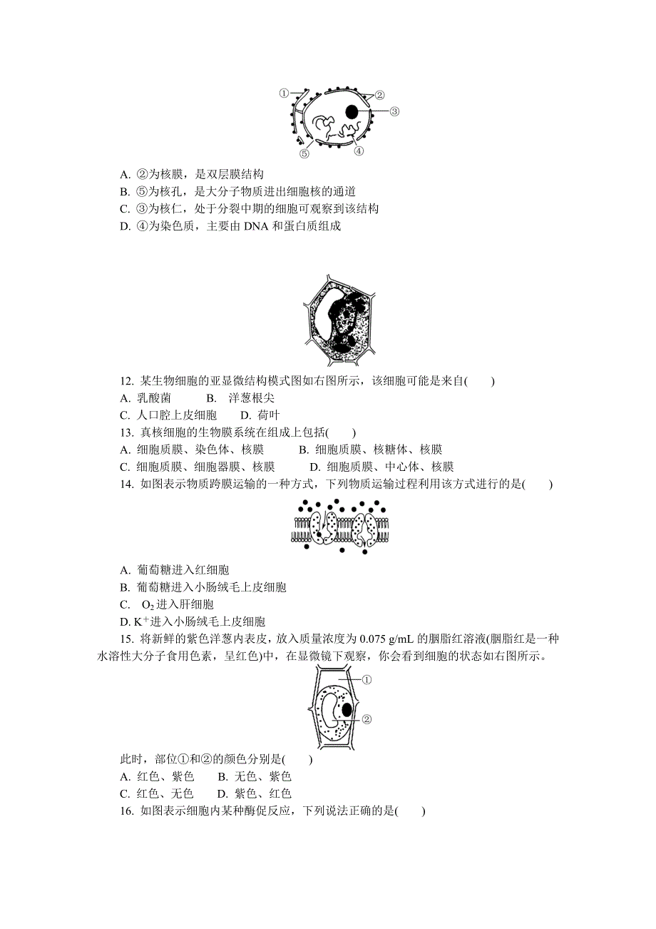 《发布》江苏省徐州市2021-2022学年高二上学期学业水平合格性考试模拟试卷（12月） 生物 WORD版含答案.DOCX_第2页