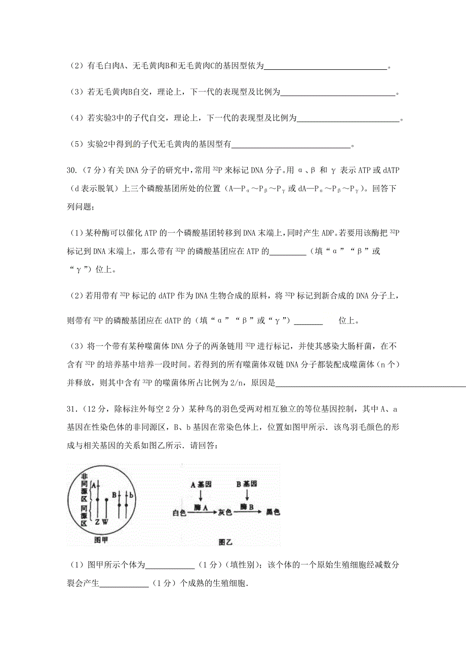 四川省仁寿第二中学2021届高三生物上学期第二次月考（10月）试题.doc_第3页