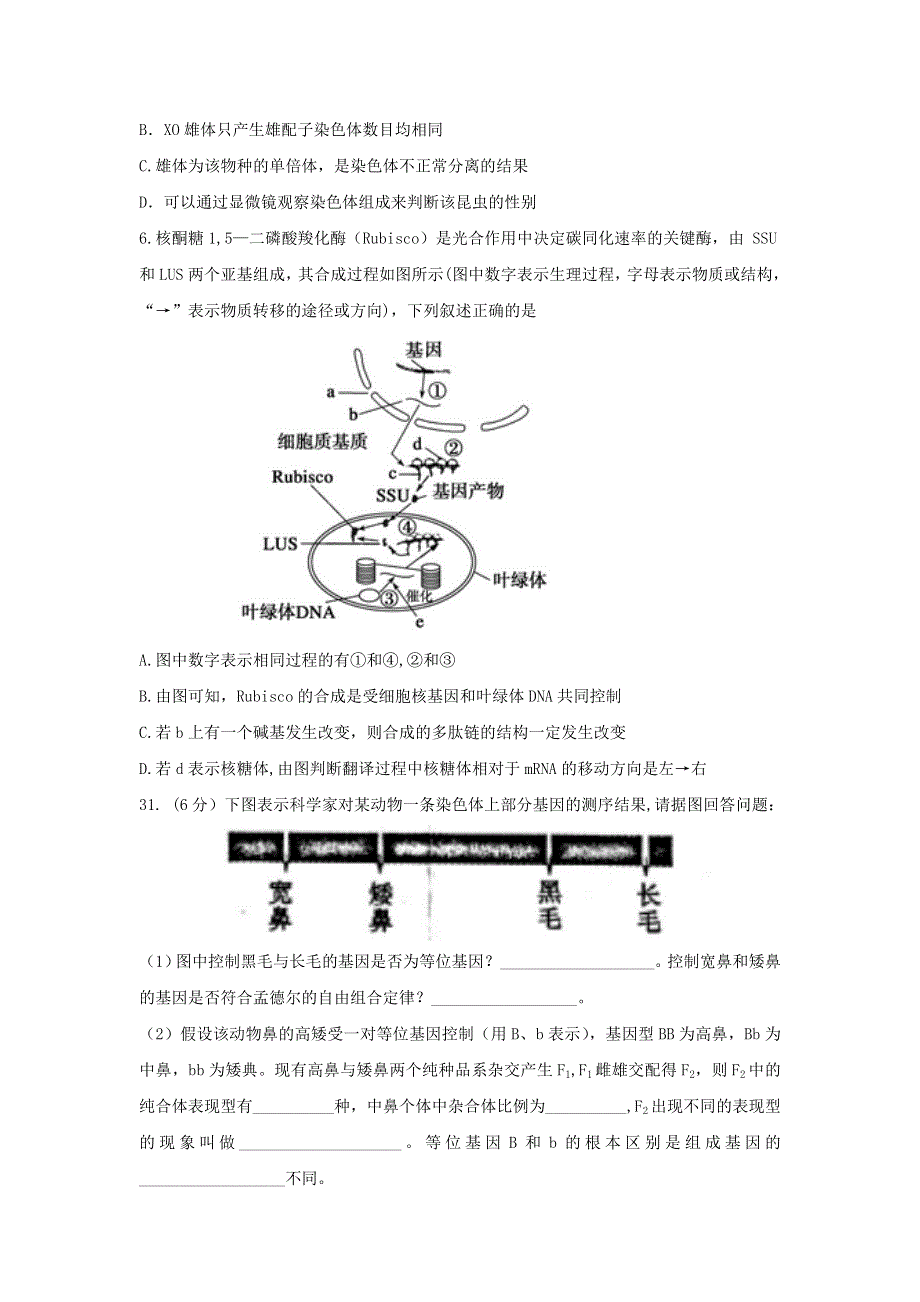 四川省内江市2015-2016学年高一下学期第一次模拟考理科综合生物试题 WORD版无答案.doc_第2页