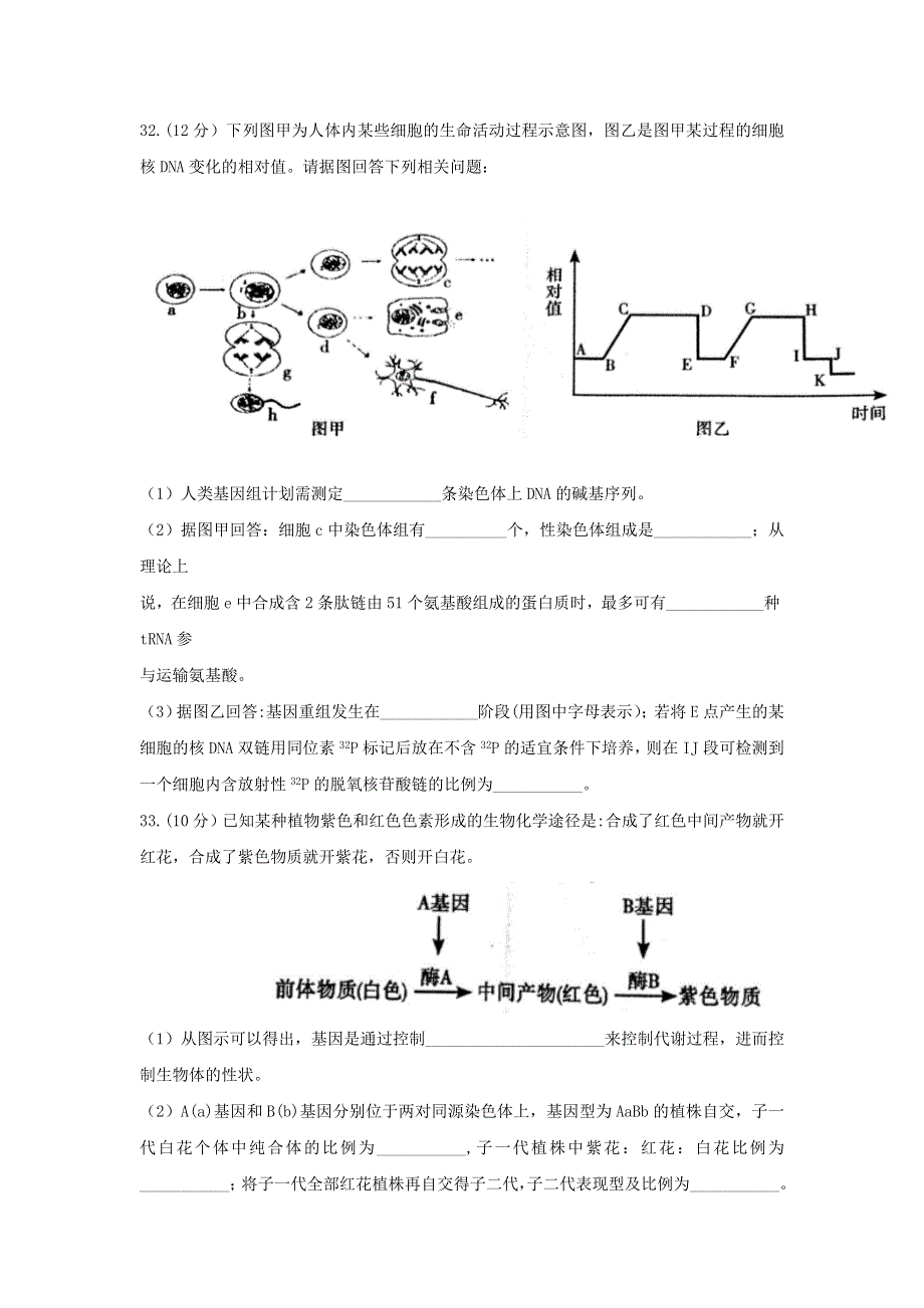 四川省内江市2015-2016学年高一下学期第一次模拟考理科综合生物试题 WORD版无答案.doc_第3页