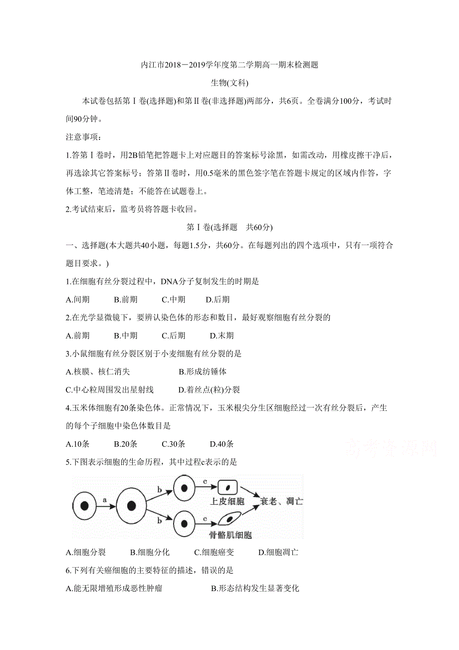 四川省内江市2018-2019学年高一下学期期末检测 生物（文） WORD版含答案BYCHUN.doc_第1页