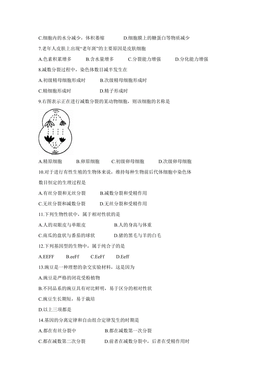 四川省内江市2018-2019学年高一下学期期末检测 生物（文） WORD版含答案BYCHUN.doc_第2页