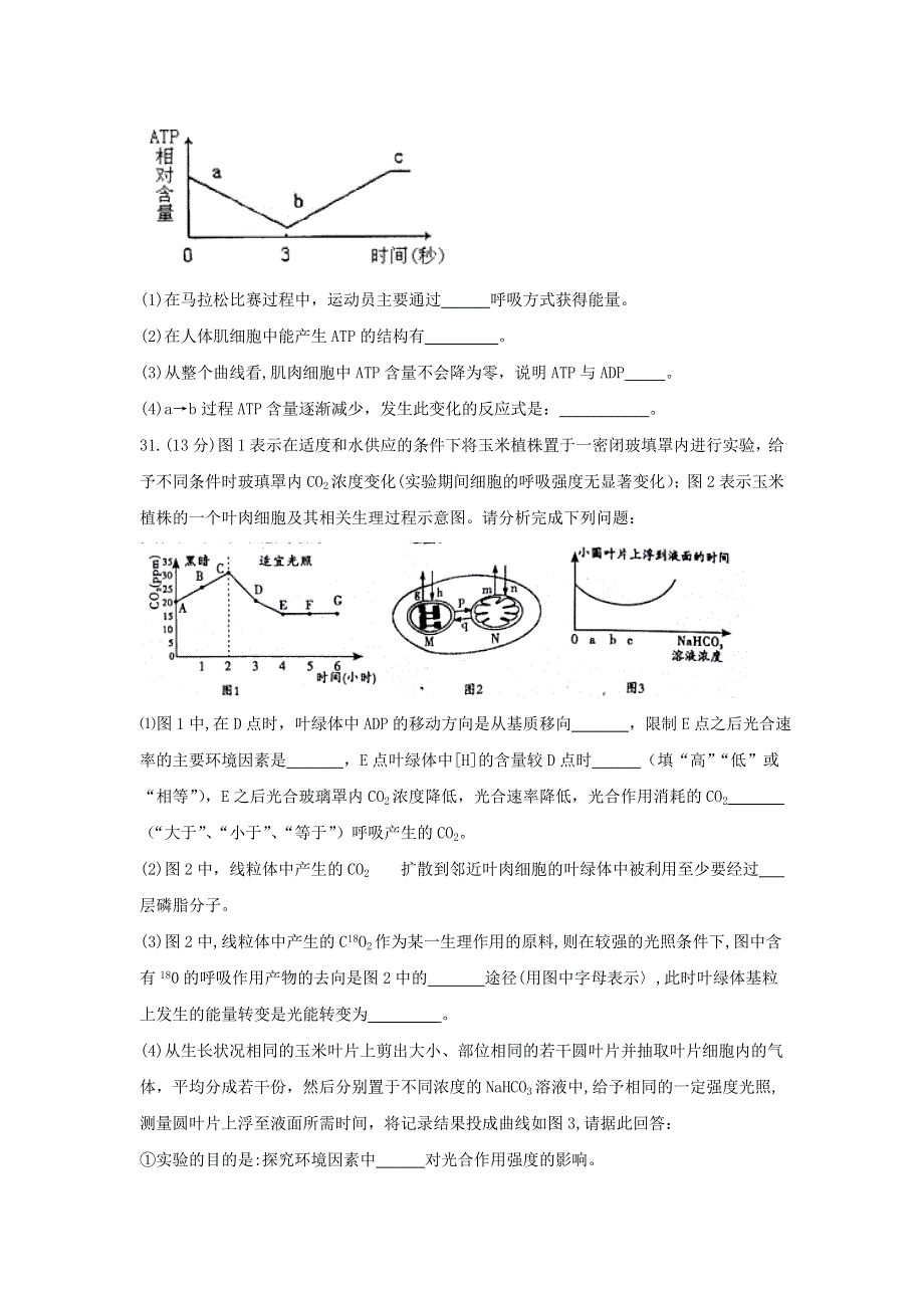 四川省内江市2017届高三第二次模拟理科综合生物试题 WORD版无答案.doc_第3页