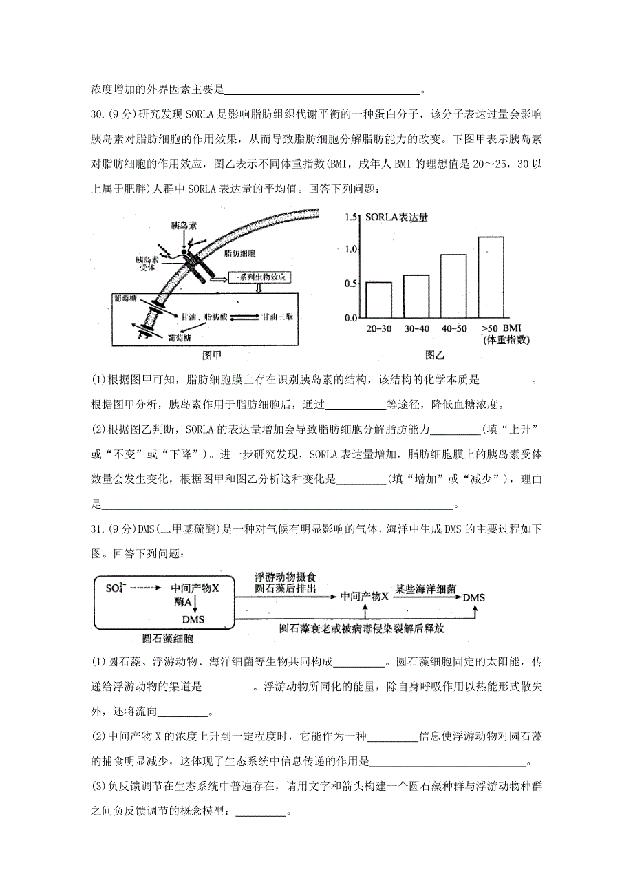 四川省内江市2020届高三生物第二次模拟考试试题.doc_第3页