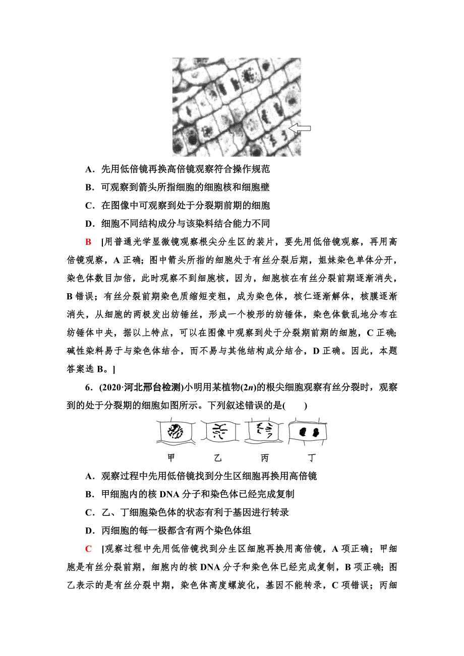 2022版高三生物苏教版一轮复习课后集训 12 细胞的增殖 WORD版含解析.doc_第3页