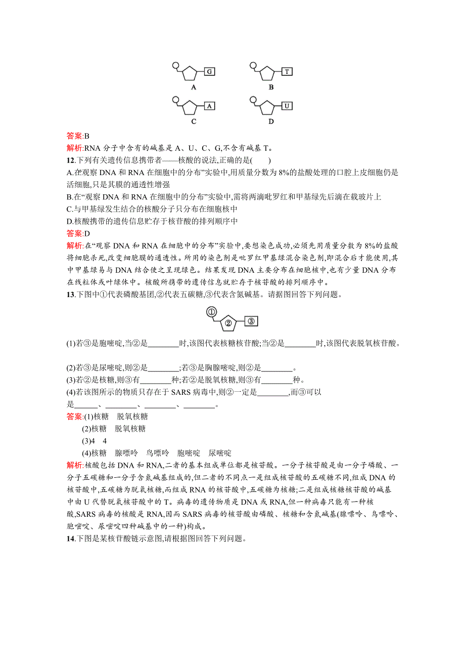 《南方新课堂 金牌学案》人教版2015-2016学年高中生物必修一课后练习 第二章：组成细胞的分子 2-3 遗传信息的携带者——核酸.docx_第3页