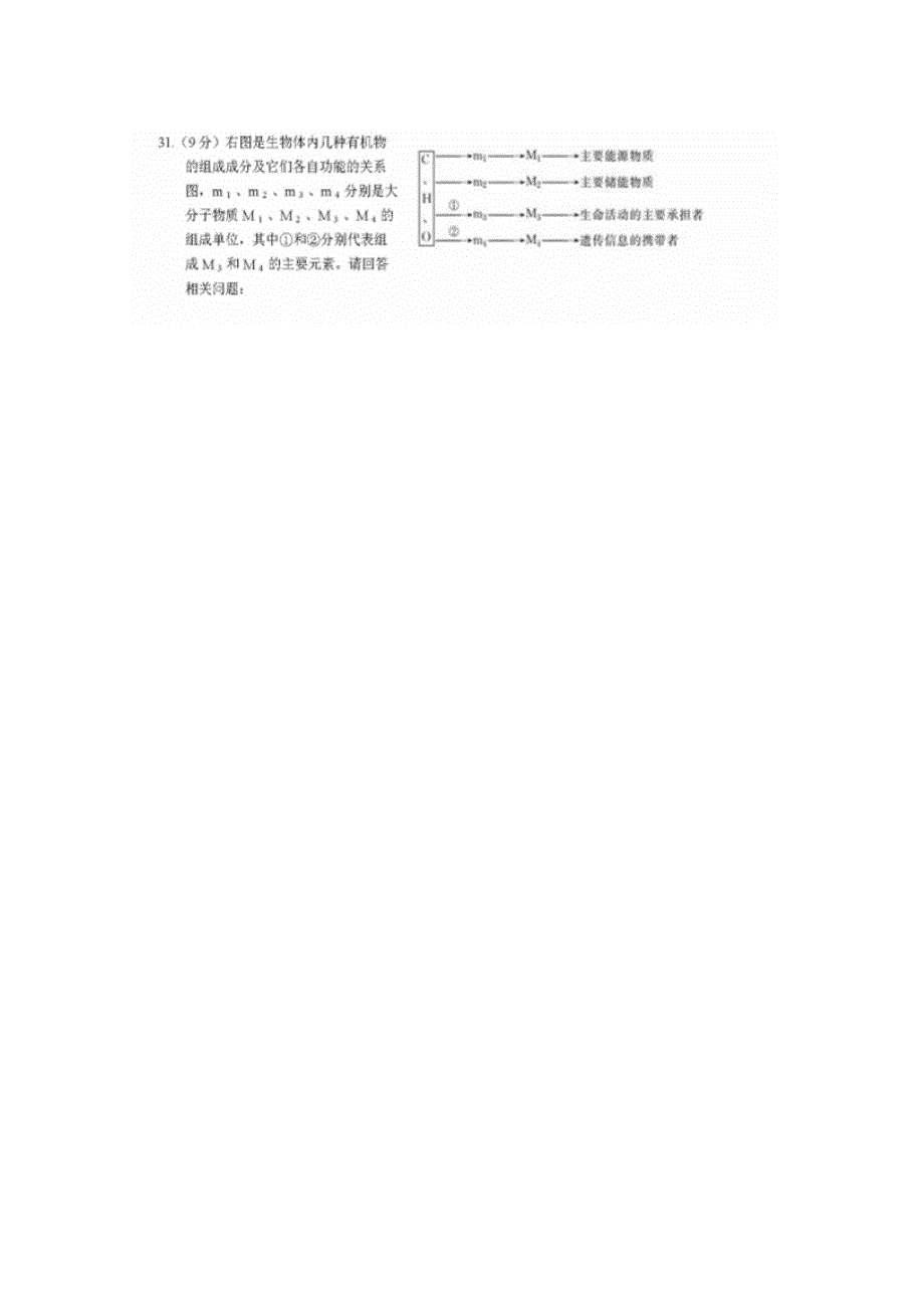 四川省仁寿第一中学校北校区2019-2020学年高一12月份月考生物试卷 扫描版含答案.doc_第2页