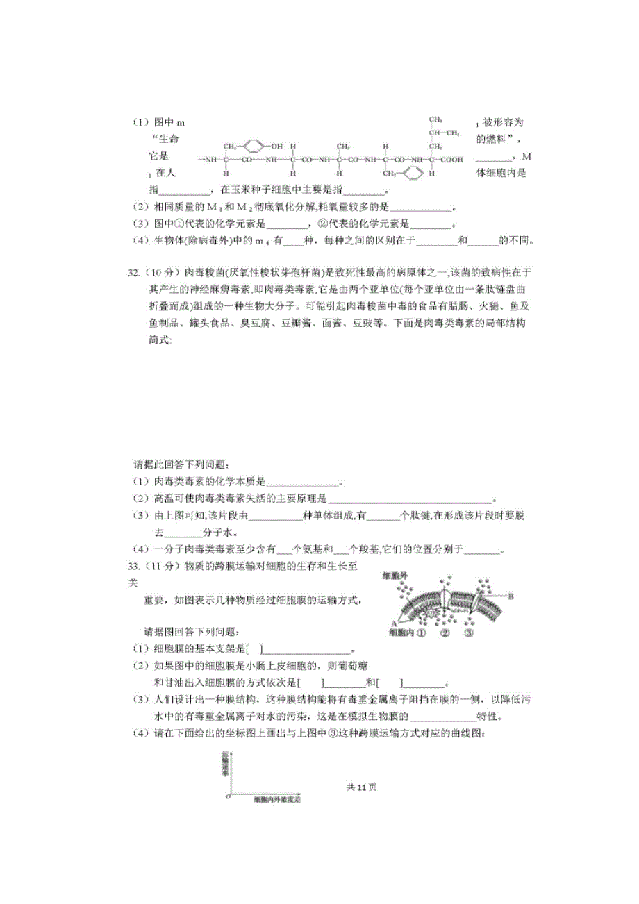 四川省仁寿第一中学校北校区2019-2020学年高一12月份月考生物试卷 扫描版含答案.doc_第3页