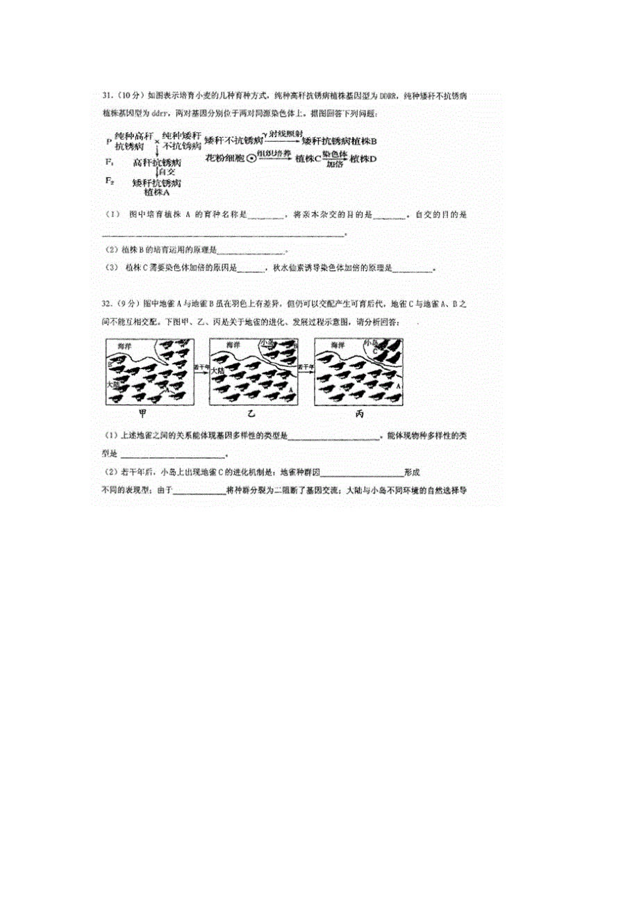 四川省仁寿第一中学校北校区2018-2019学年高二上学期12月份月考生物试题 扫描版含答案.doc_第3页