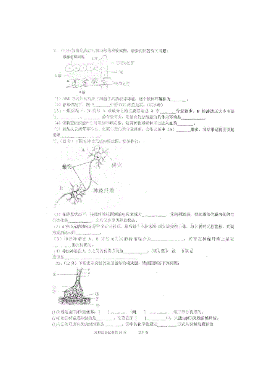 四川省仁寿第一中学校北校区2018-2019学年高二上学期期中考试生物试题 扫描版含答案.doc_第3页