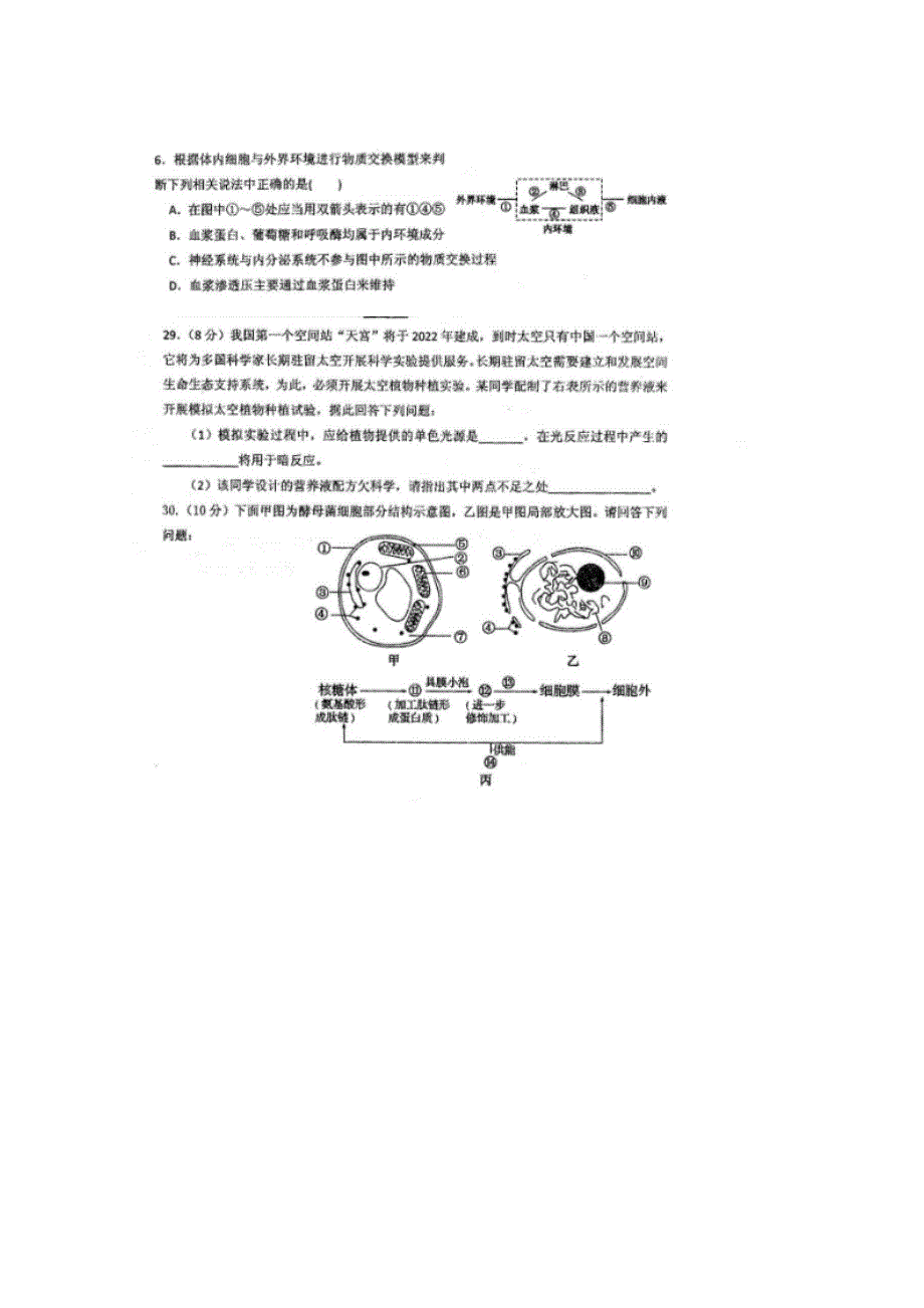 四川省仁寿第一中学校北校区2019届高三12月月考生物试题 扫描版含答案.doc_第2页