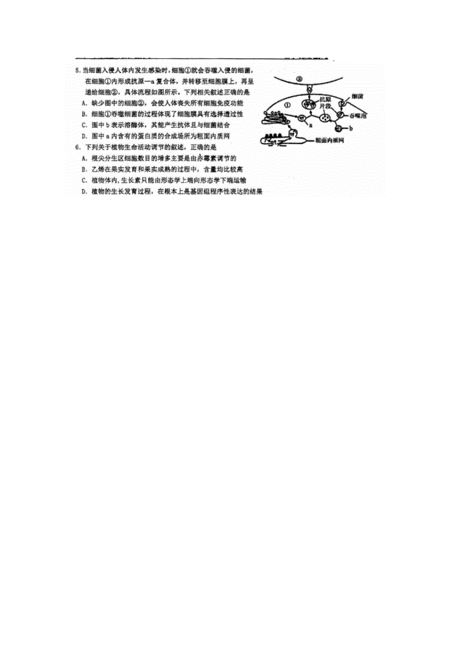 四川省仁寿第一中学校南校区2018-2019学年高二上学期第二次教学质量检测（12月月考）生物试题 扫描版含答案.doc_第2页