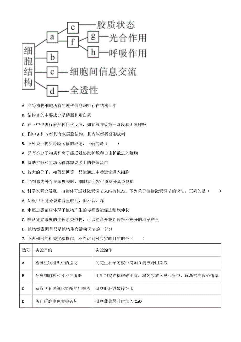 新疆喀什市第六中学2022届高三上学期期中考试生物试题 WORD版含解析.doc_第2页