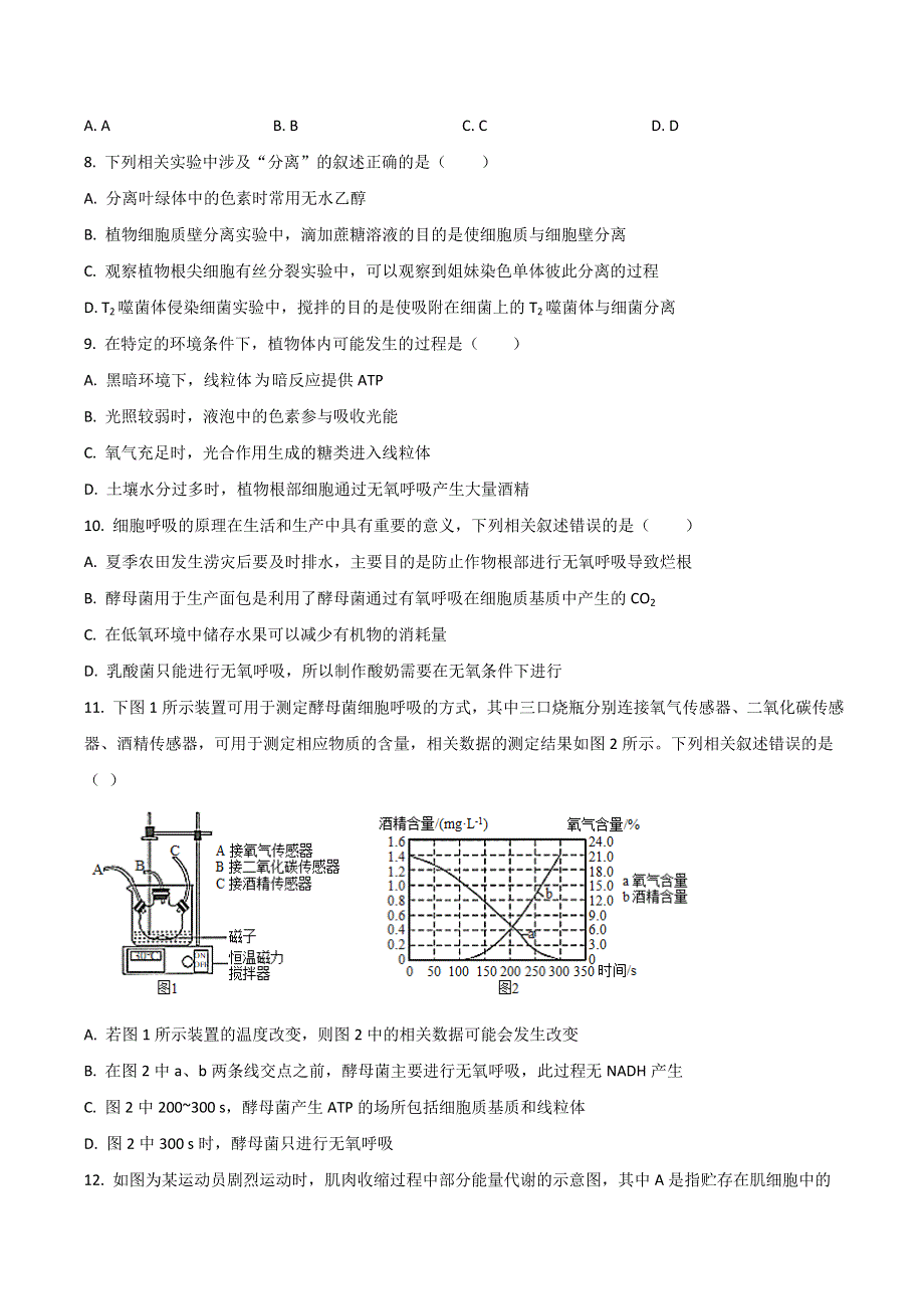 新疆喀什市第六中学2022届高三上学期期中考试生物试题 WORD版含解析.doc_第3页