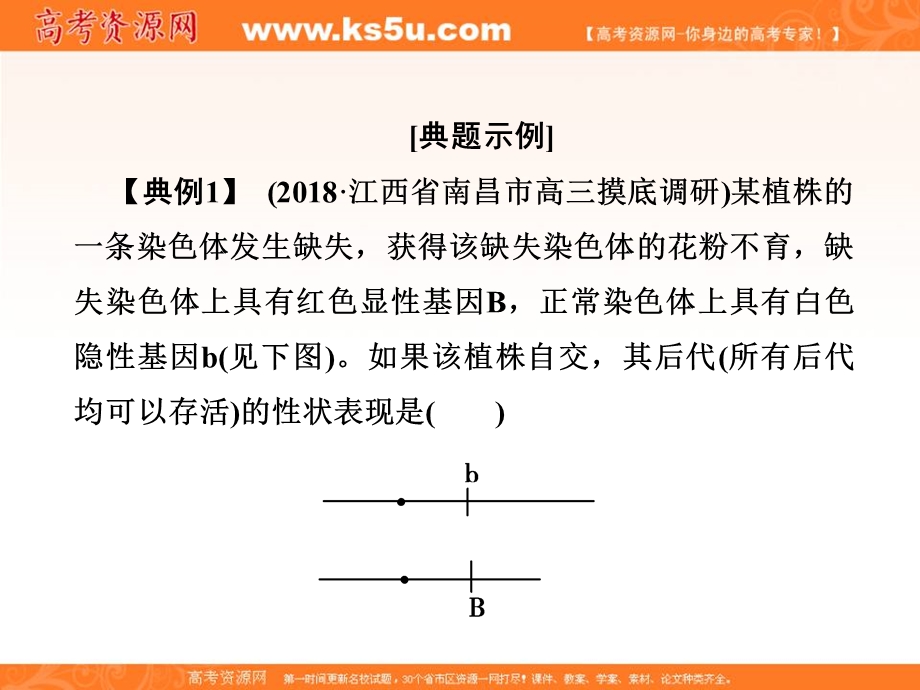 2018届高三生物总复习课件：微讲座3 .ppt_第3页