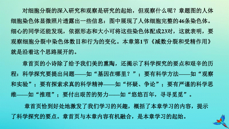 2023新教材高中生物 第2章 基因和染色体的关系 第1节 减数分裂和受精作用 第1课时 减数分裂课件 新人教版必修2.pptx_第2页