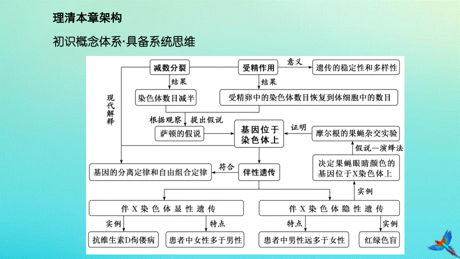 2023新教材高中生物 第2章 基因和染色体的关系 第1节 减数分裂和受精作用 第1课时 减数分裂课件 新人教版必修2.pptx_第3页