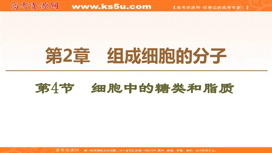 2019-2020学年人教版生物必修一课件：第2章 第4节　细胞中的糖类和脂质 .ppt_第1页