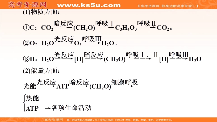 2019-2020学年人教版生物必修一课件：第5章 素能提升课　光合作用与细胞呼吸的综合 .ppt_第3页