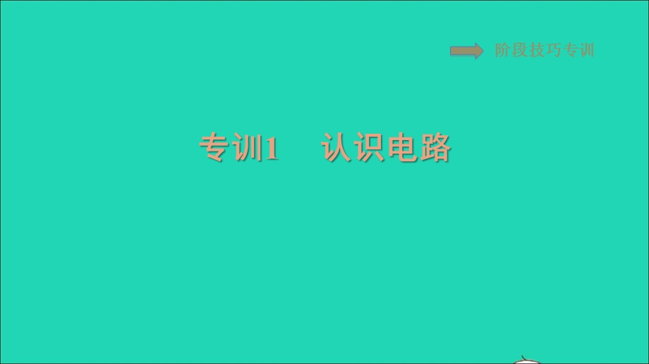 2021九年级物理全册 第15章 电流和电路阶段技巧专训1 认识电路习题课件（新版）新人教版.ppt_第1页