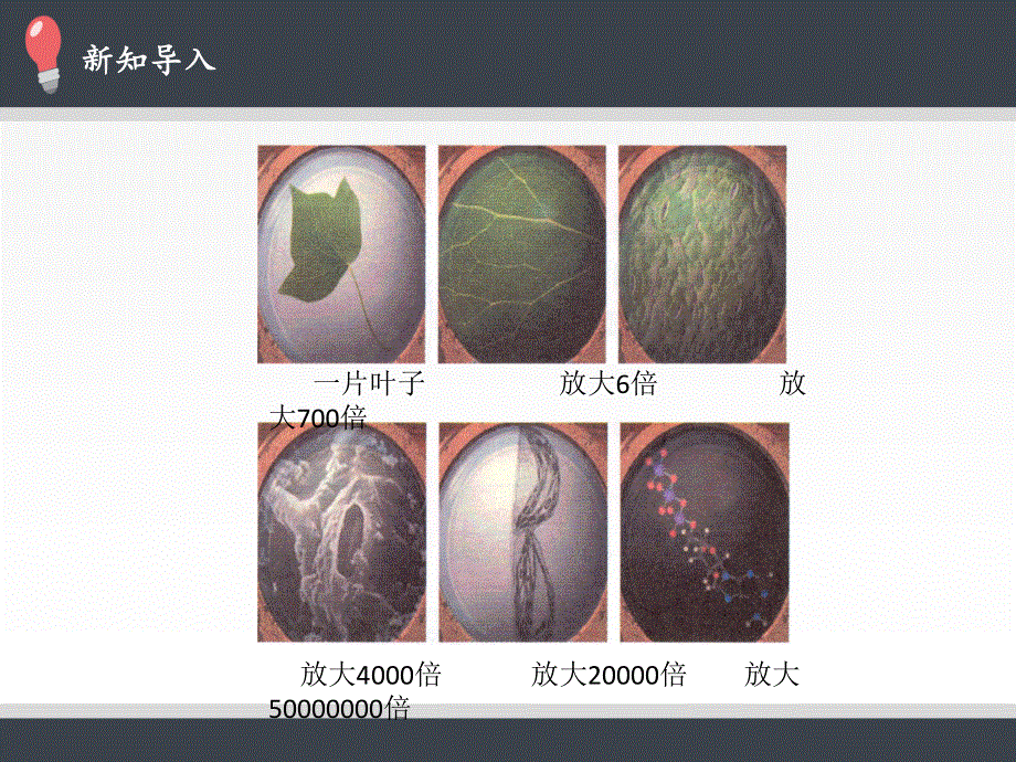 1.1分子动理论的基本内容课件.pptx_第2页