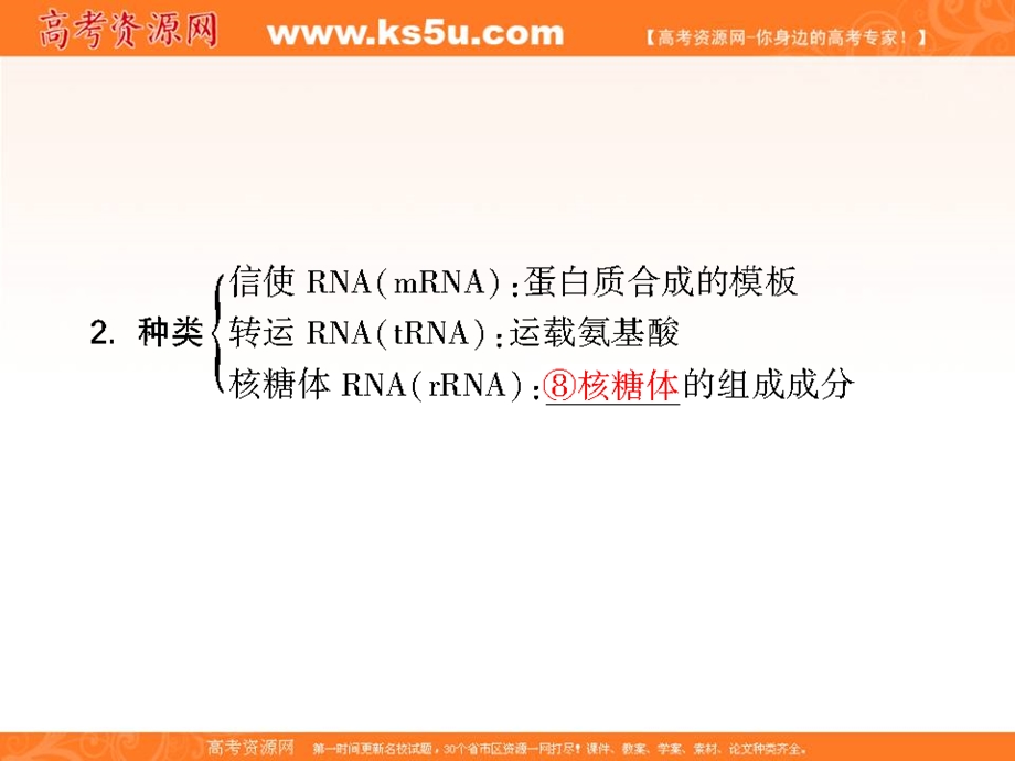 2013届新课标高考生物一轮复习课件：遗传与进化第三单元 遗传的分子基础第3讲基因的表达.ppt_第3页