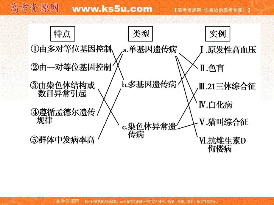 2018届高三生物总复习课件：第五单元 遗传的基本规律5-18 .ppt_第3页