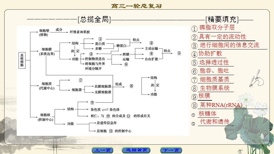 2018届高三生物（人教版）一轮复习课件：必修1 第2单元 单元高效整合 .ppt_第2页