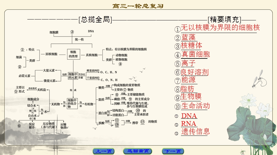 2018届高三生物（人教版）一轮复习课件：必修1 第1单元 单元高效整合 .ppt_第2页