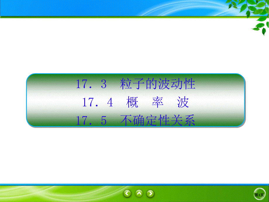 2019-2020学年人教版物理选修3-5同步课件：第17章 波粒二象性 17-3-5 .ppt_第1页