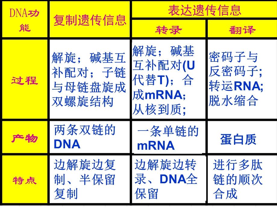 2014-2015学年高一生物人教版必修2同课异构课件：4.pptx_第2页