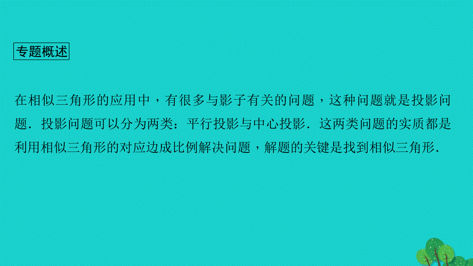 2022九年级数学下册 期末专题复习三 投影中的相似问题作业课件（新版）华东师大版.ppt_第2页