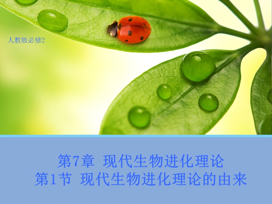 2014-2015学年高一生物人教版必修2同课异构课件：7.pptx_第1页